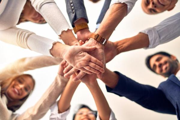 Trabalho em equipe